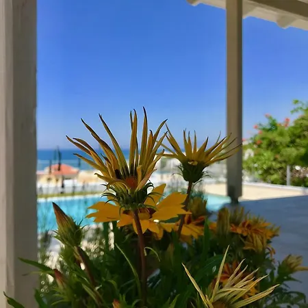 Thea Thalassa * Kalamaki (Chania)