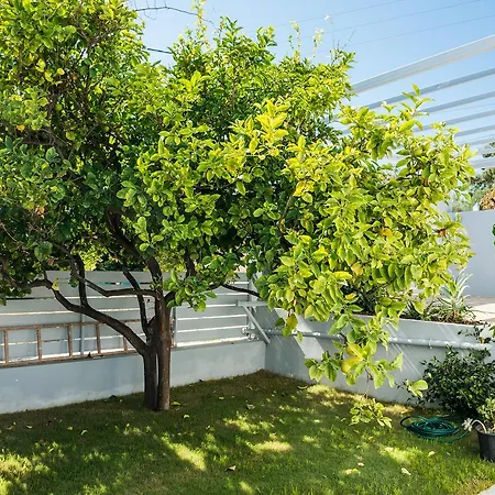 Thea Thalassa Villa Kalamaki (Chania)