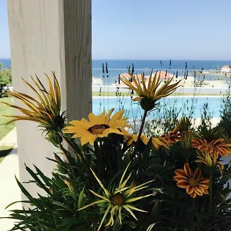Villa Thea Thalassa *